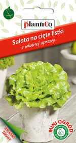 Lettuce Mix Baby Leaf 'Bionda a foglia' 1g PlantiCo