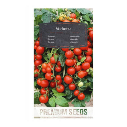 Tomato Koktajlowy  'Maskotka' Premium S. 0,5g