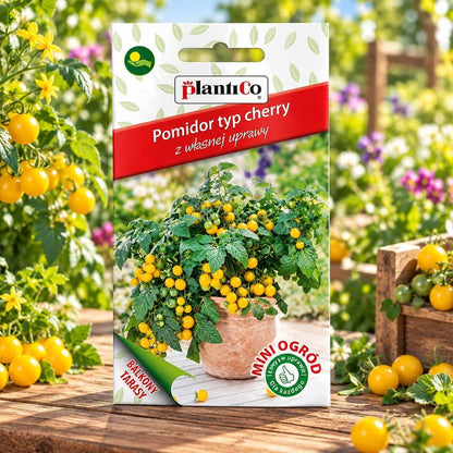 Tomato Yellow Aztek Balcony Cherry 0.2g – PlantiCo Mini Ogrod